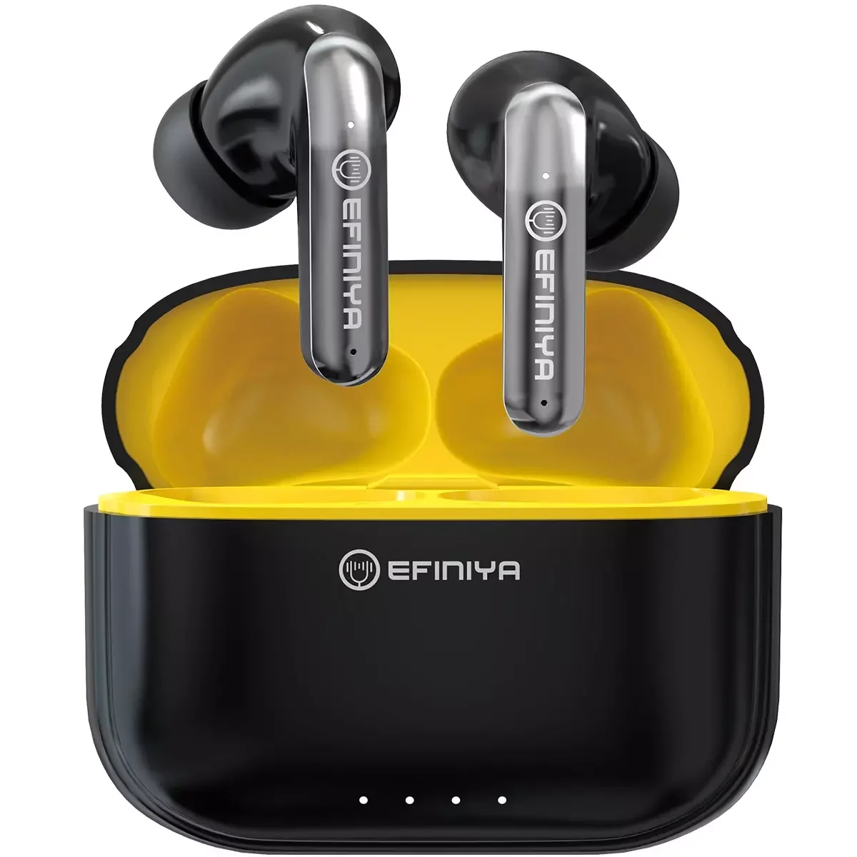 Wired Earphones